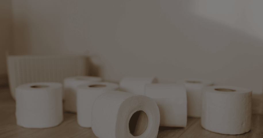 Toilet Tissue Price in Bangladesh